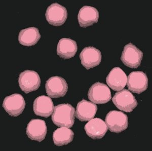 Pompoms 1/2" - Pink (Pale Pink) x 20